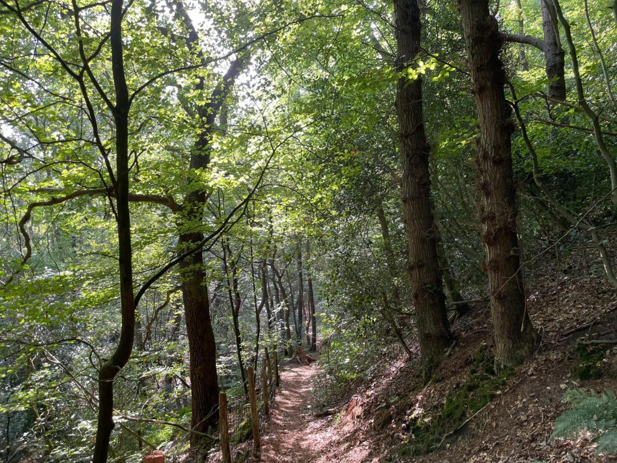 The Forester Schoorl Esterno foto